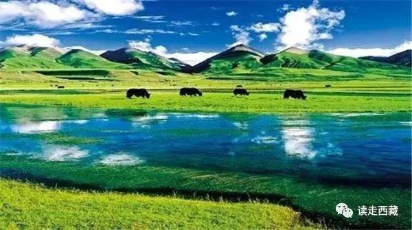 西藏那曲畜产品展销 (西藏那曲畜产品展销场航拍)