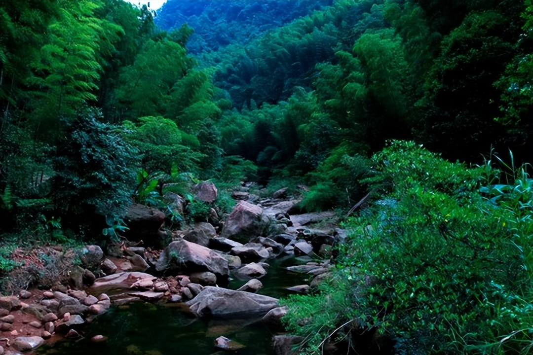 林海山水画作品欣赏,国内十大竹海排名