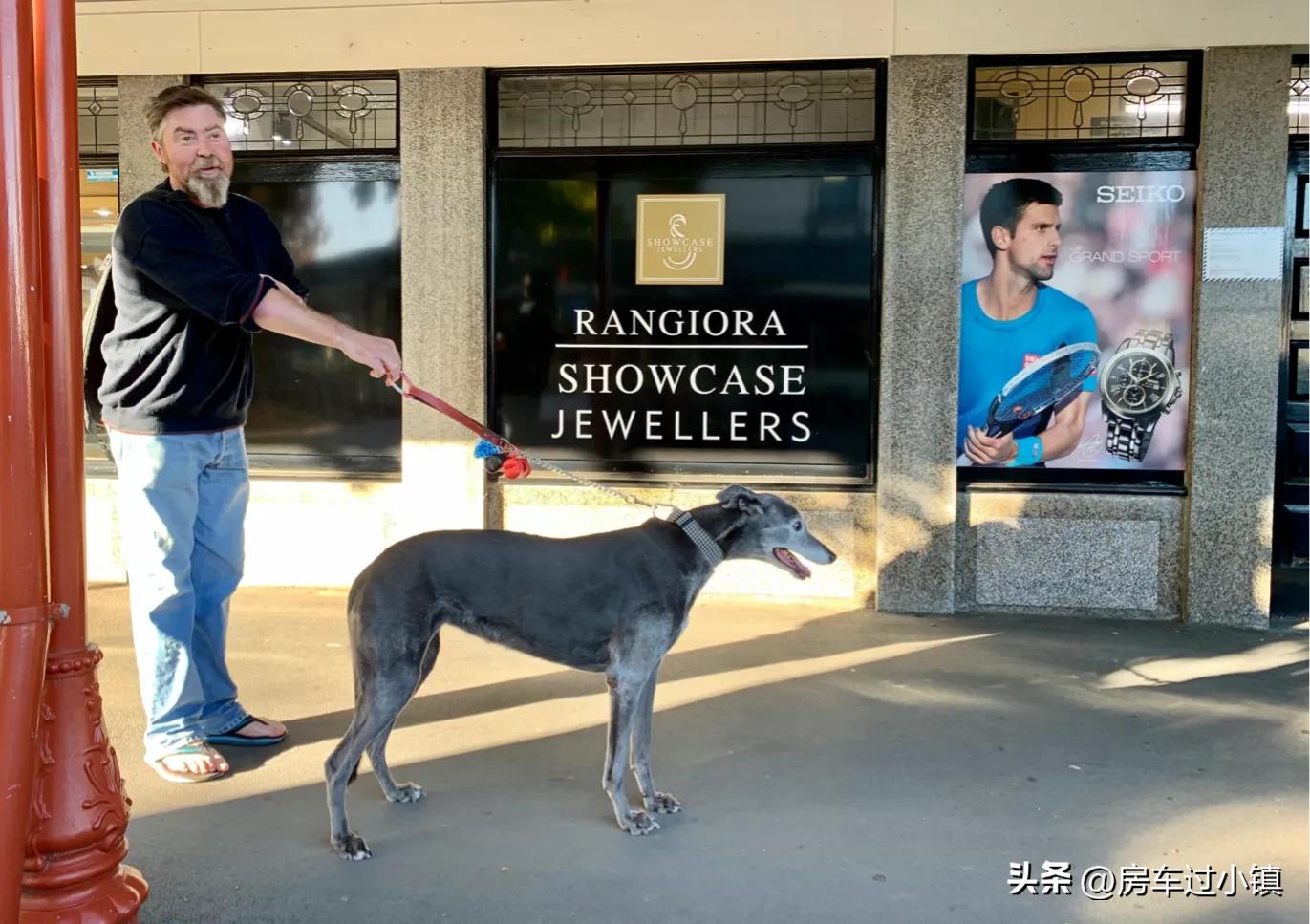 阿拉蕾的小镇、五元松果及其它——新手新车新西兰之十