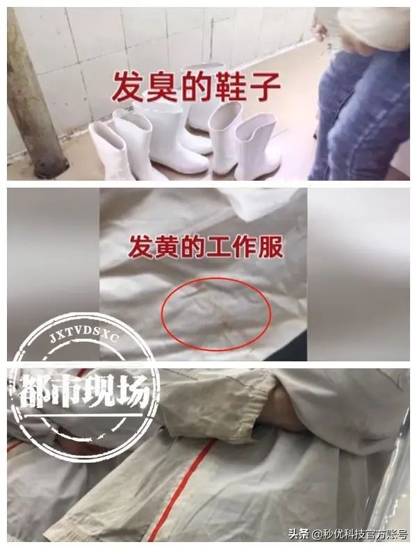 今年315晚会曝光哪些不良产品,315晚会曝光的产品后续