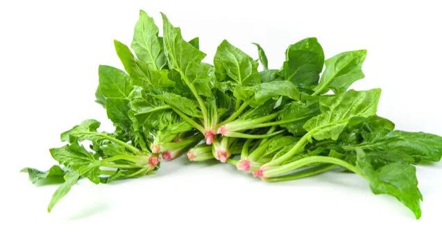 最天然的护眼菜让宝宝眼睛更明亮,孩子多吃护眼菜