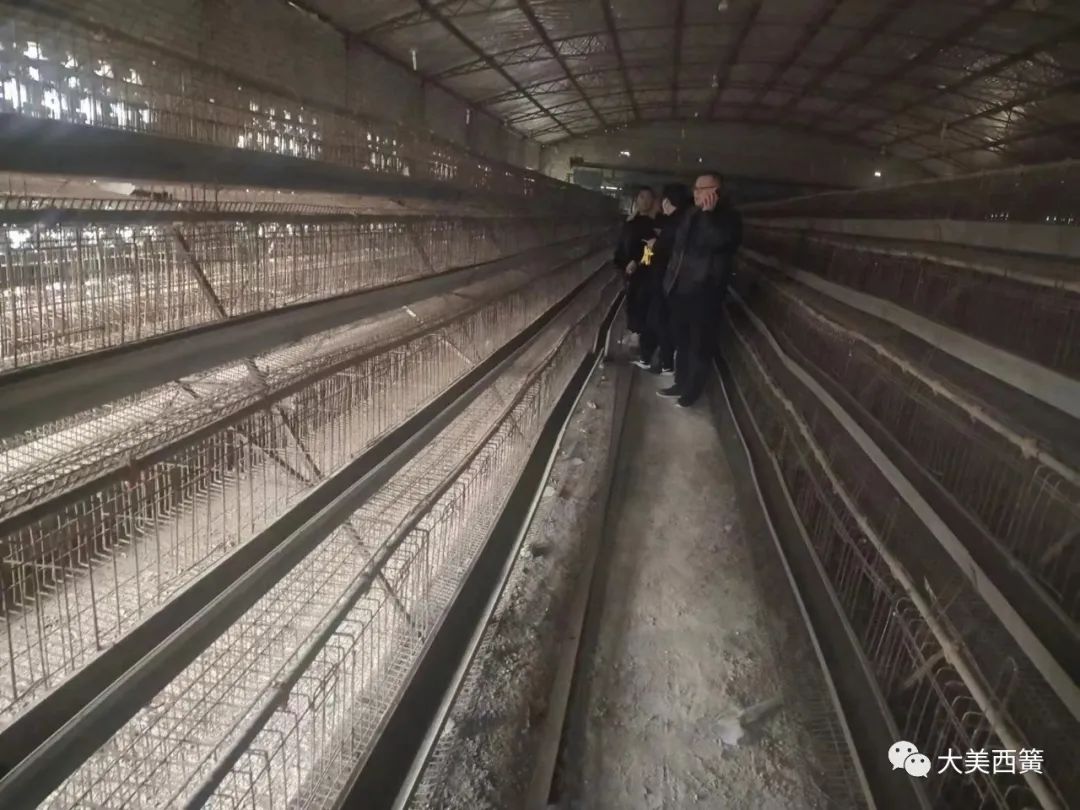 鹊山鸡,鹊山鸡粤语视频