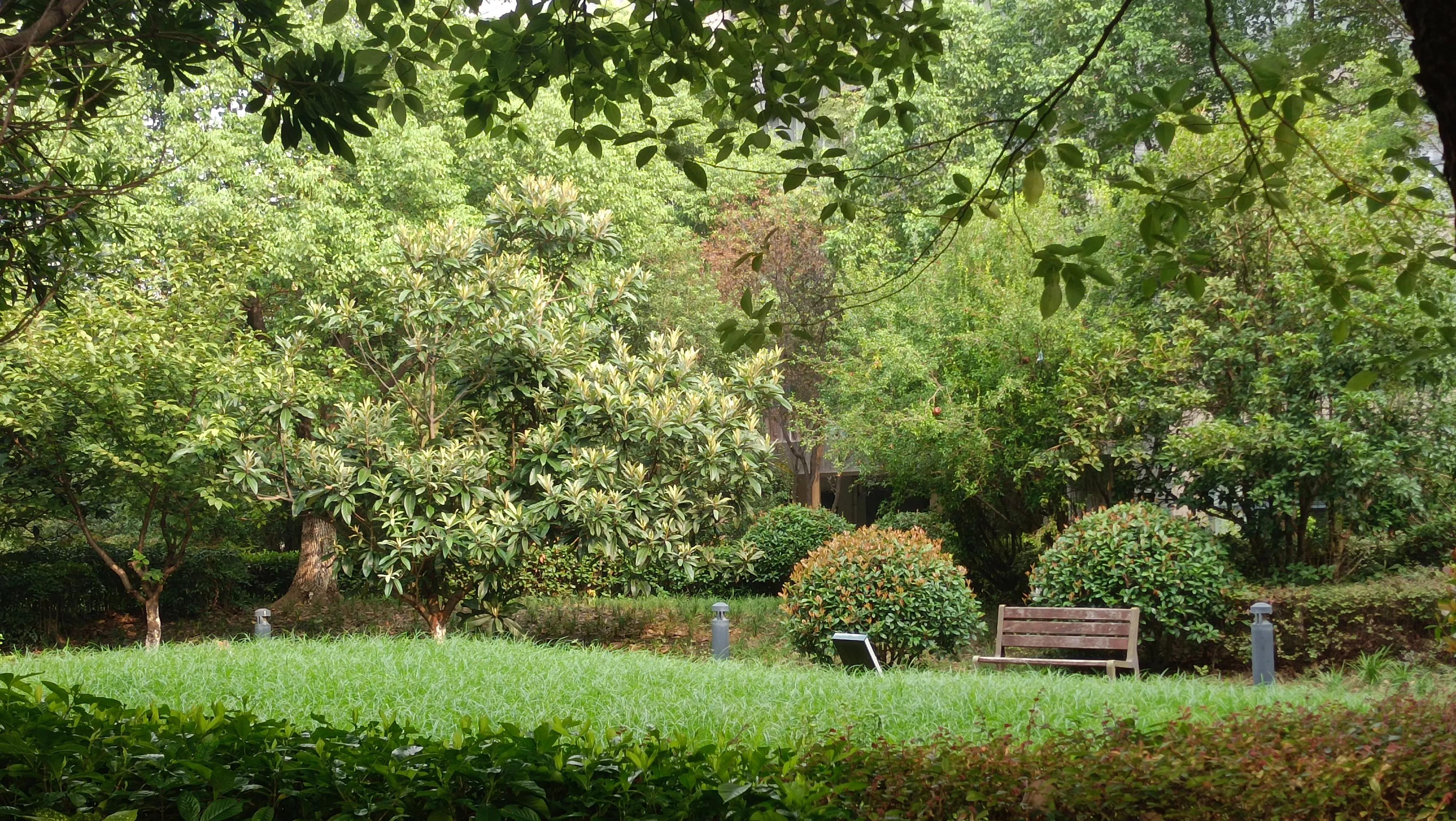 中医辨证尿频的方法,中医对尿频的辨证及治疗药方