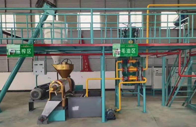 玉米油吃了会长胖吗,吃玉米油好还是花生油好