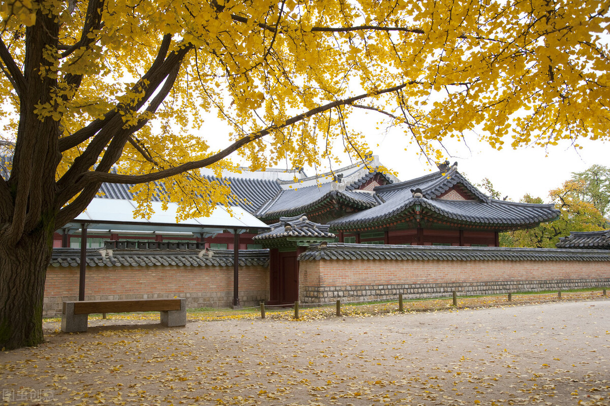 如何获取采购需求,采购如何应对新增需求