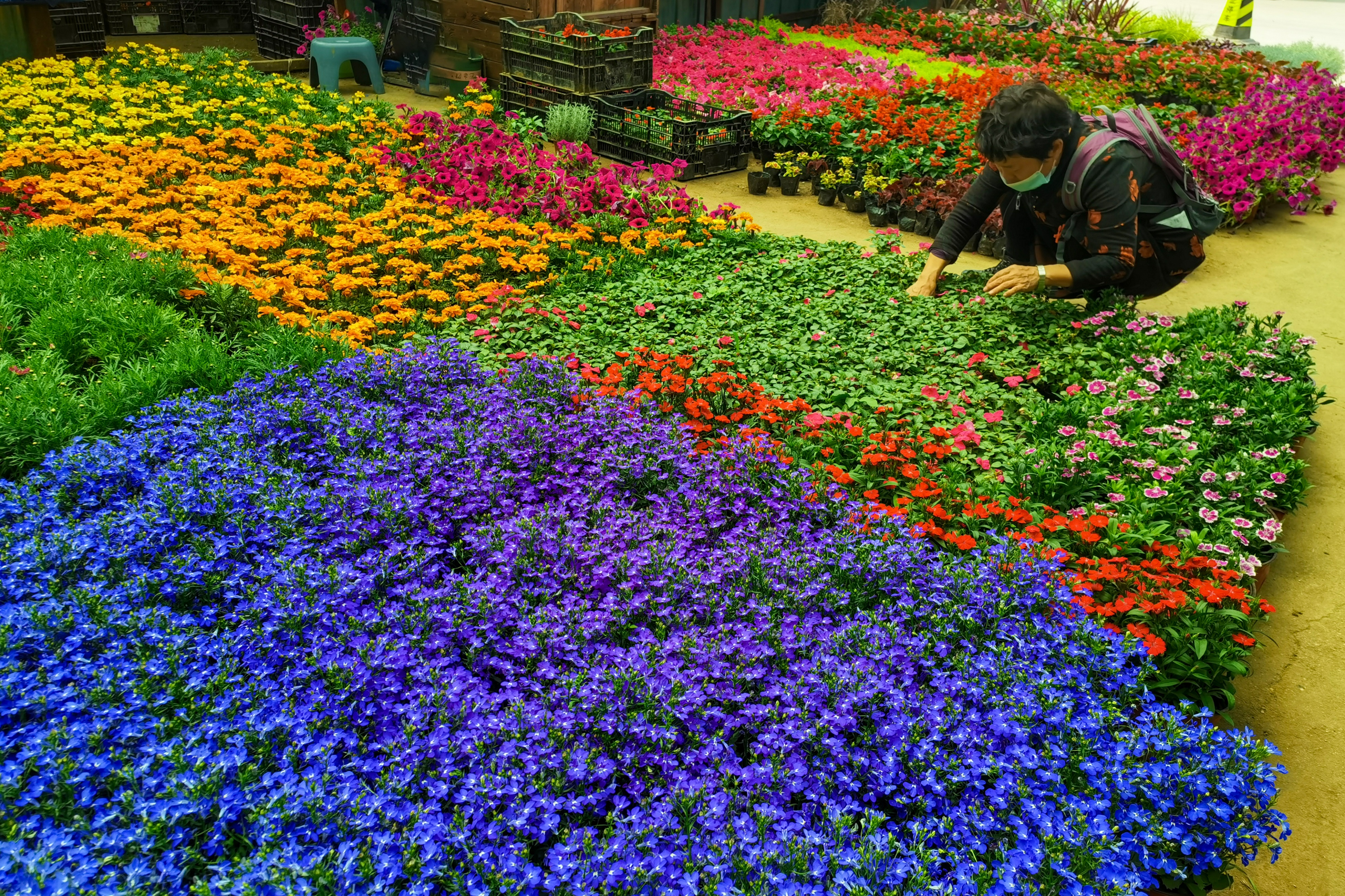 沈阳南井花卉市场,沈阳市南井花卉市场地址