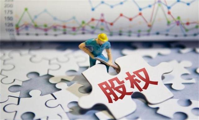 股权激励方案包括哪些内容,限制性股权激励计划