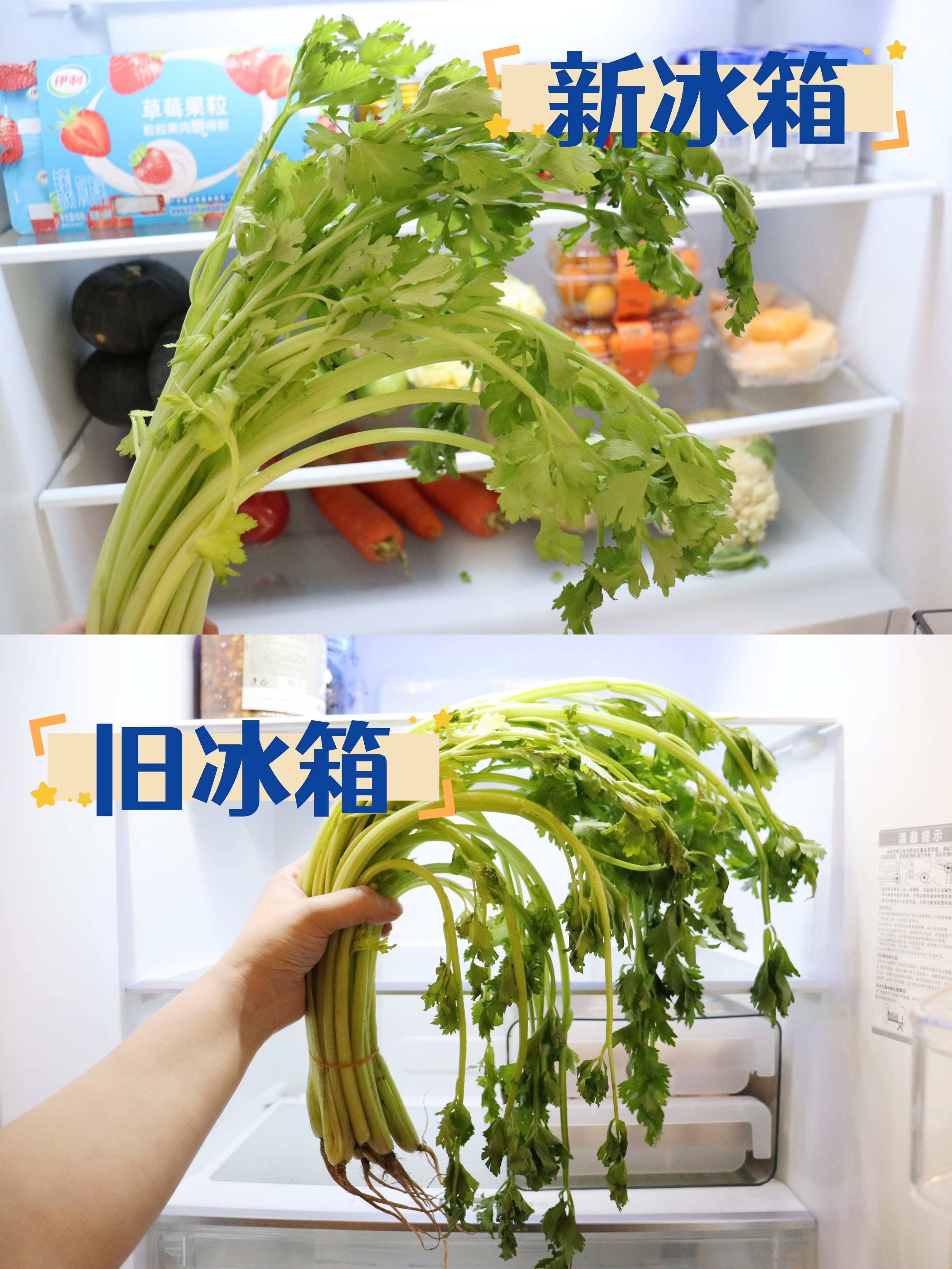 无霜冰箱和有霜冰箱哪种更好用,无霜冰箱和有霜冰箱有什么区别