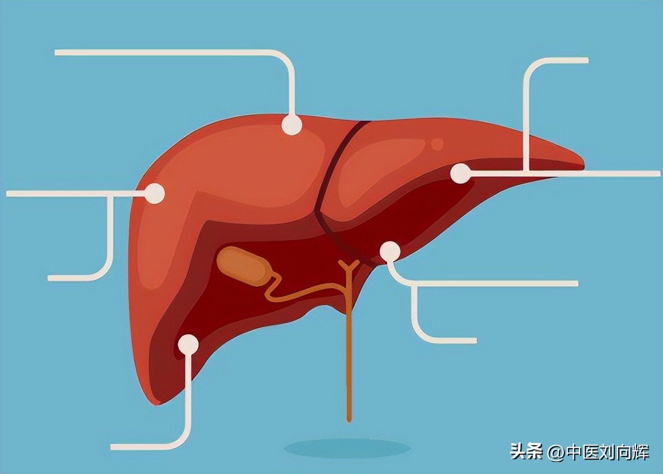 脾湿小便少怎么办,脾湿热大便干燥怎么办