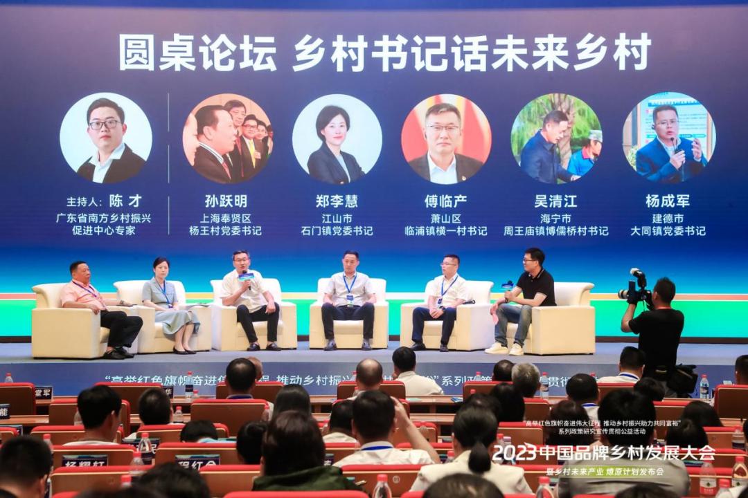 乡村振兴大咖说观点汇总,乡村振兴方面的领导讲话