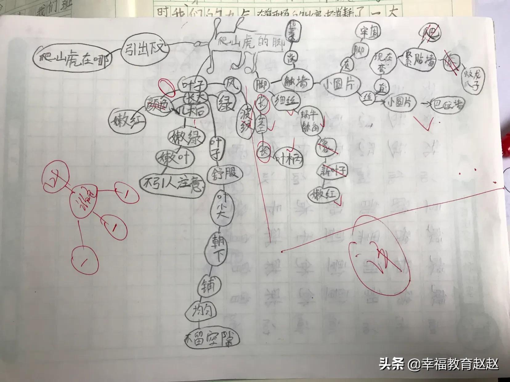 爬山虎的脚思维导图怎么画图片,爬山虎的脚思维导图绘画过程
