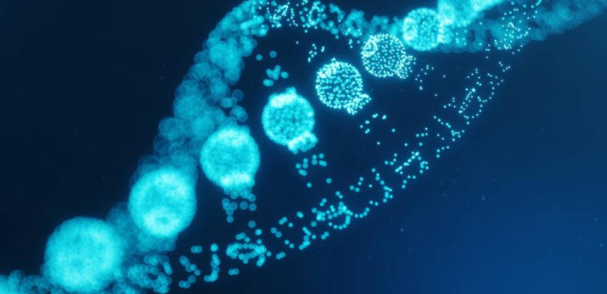 吃药造成的记忆力下降有得治吗,增强记忆力防止老年痴呆药