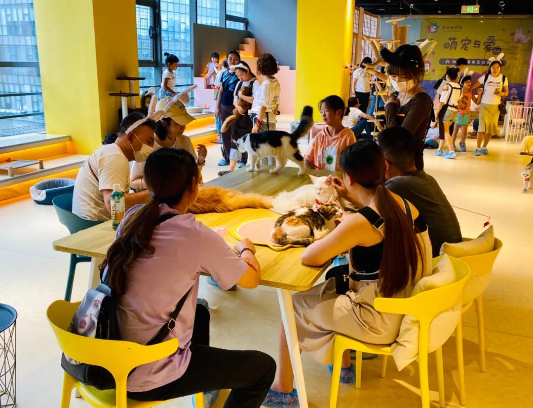 银泰百货有没有官方旗舰店,银泰商业旗舰店