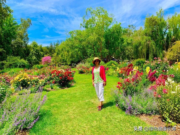 世界花园风景,世界花园