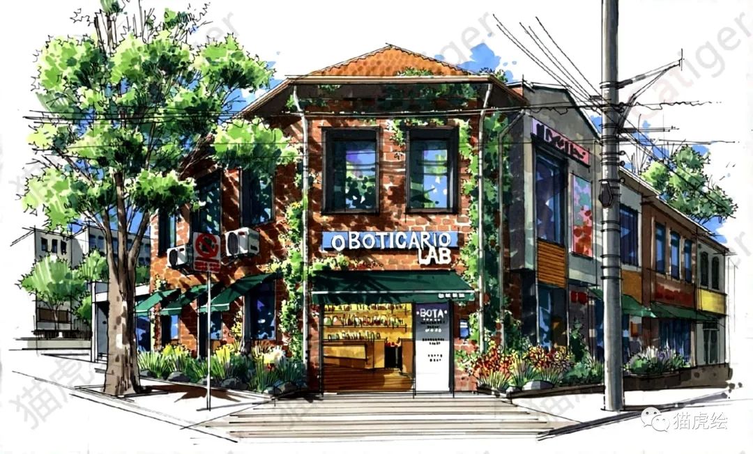 2022猫虎绘暑假手绘班招生简章「线上+线下」