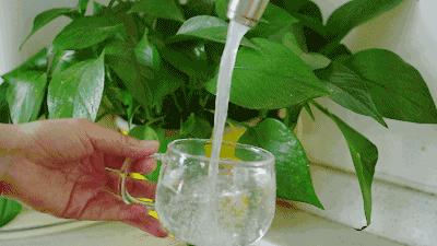 解酒最靠谱的方法朋友们请收好,科普给大家介绍几个解酒小方法