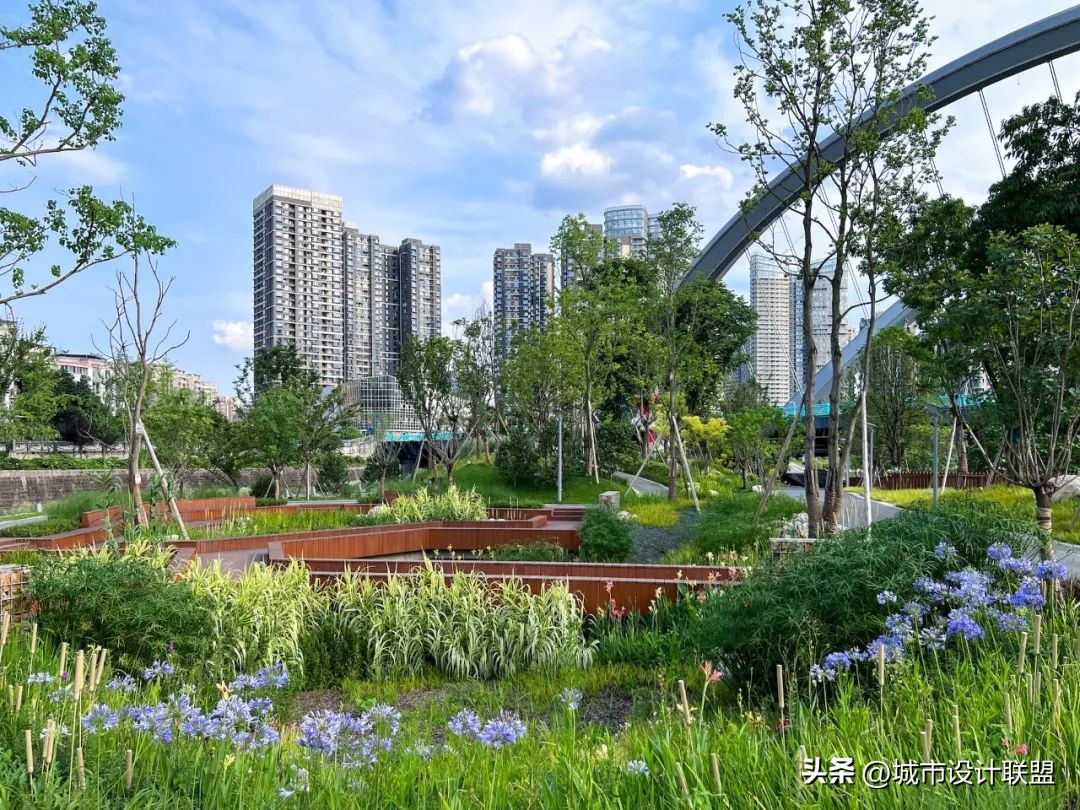 成都值得一游的公园,夏季成都宝藏公园