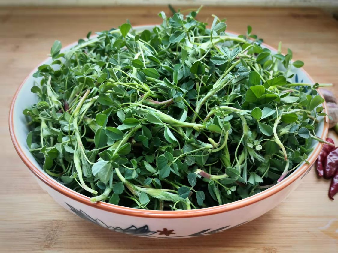 阳春三月必吃的野菜,阳春三月野菜成餐桌新宠
