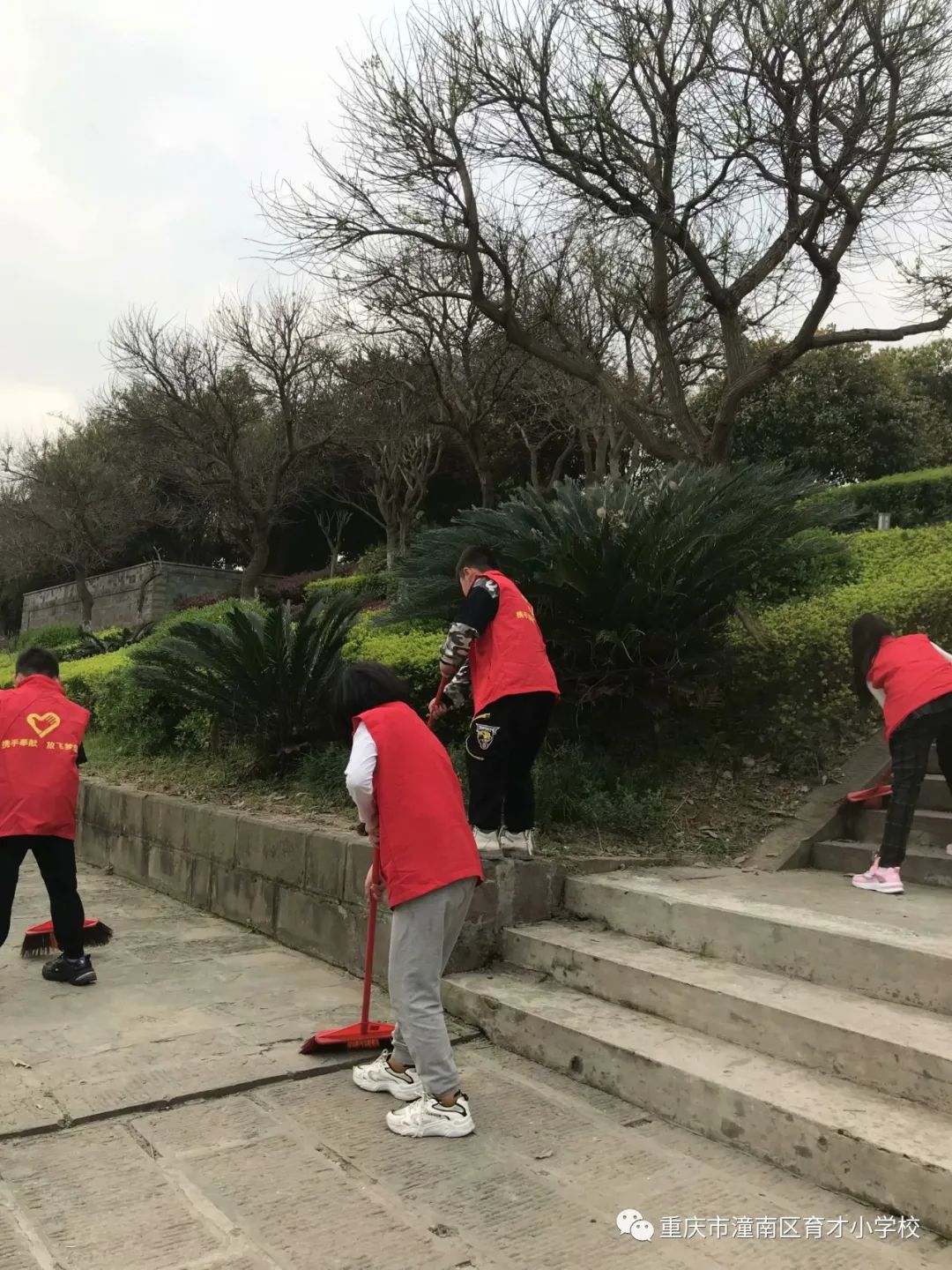 重庆劳动教育小学,重庆市潼南区育才小学的图片