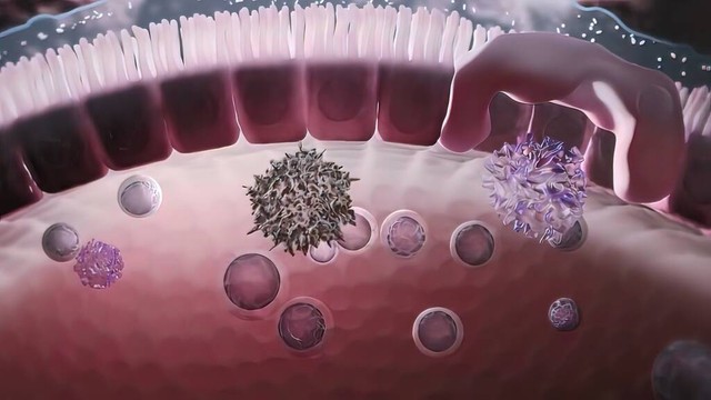 远离癌症最简单的细节,远离癌症的秘密是心情舒畅