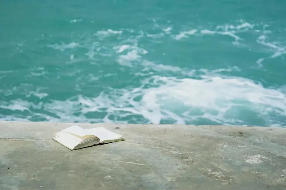 在岛屿读书与书相遇,在岛上小说结局