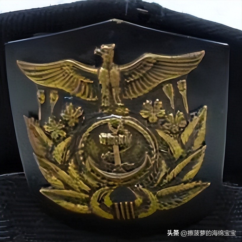 日本自卫队将军制服,日本自卫队沙漠制服