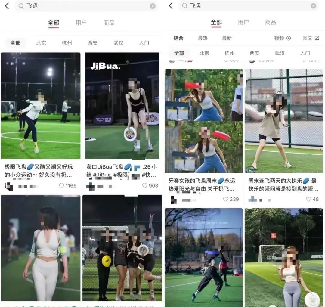 足球场内飞盘场外踢足球,足球场内飞盘与狗