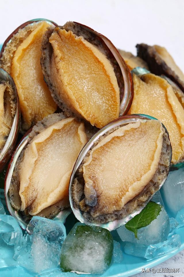 鲍鱼分布在哪里,鲍鱼由哪些部分组成的