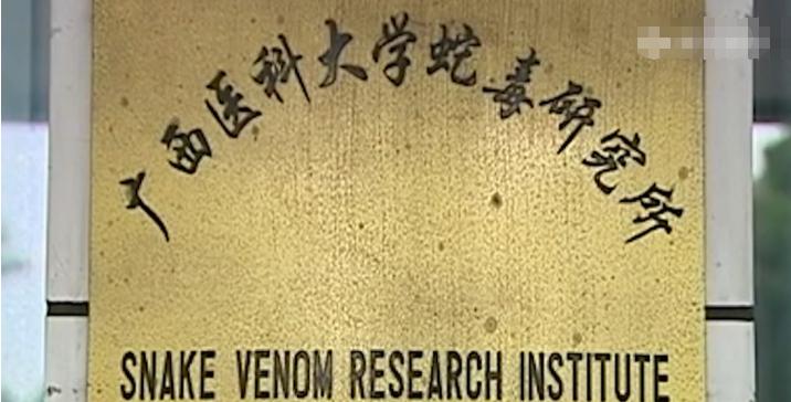 广西“蛇毒王后”：家藏价值47亿蛇毒，美国人送悍马讨好她求合作