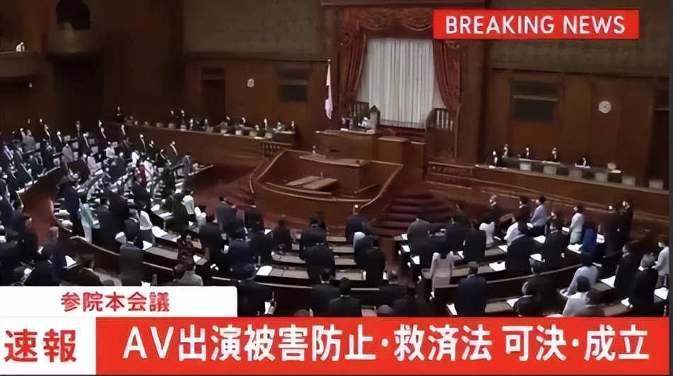 日本禁止AV,为何反对者却是女性?