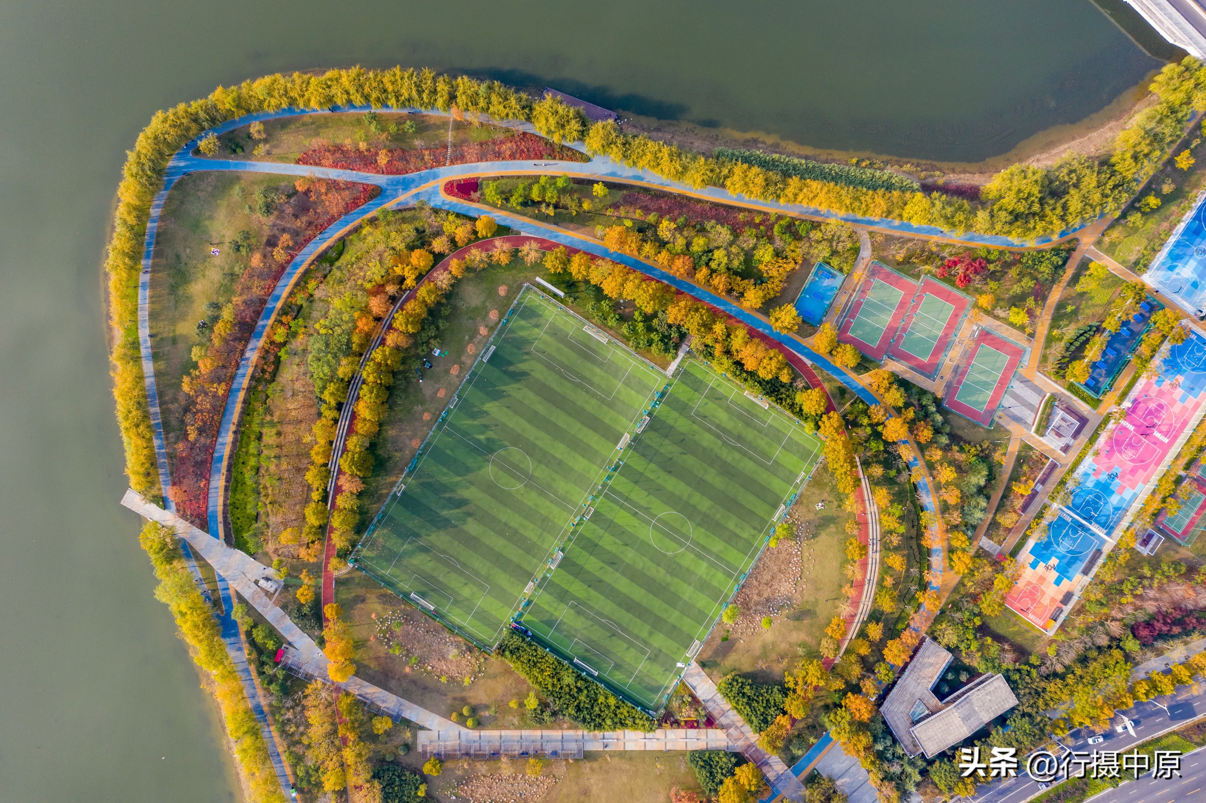 郑州这片“藏”在五彩植被之间的球场,“运动迷”值得打卡