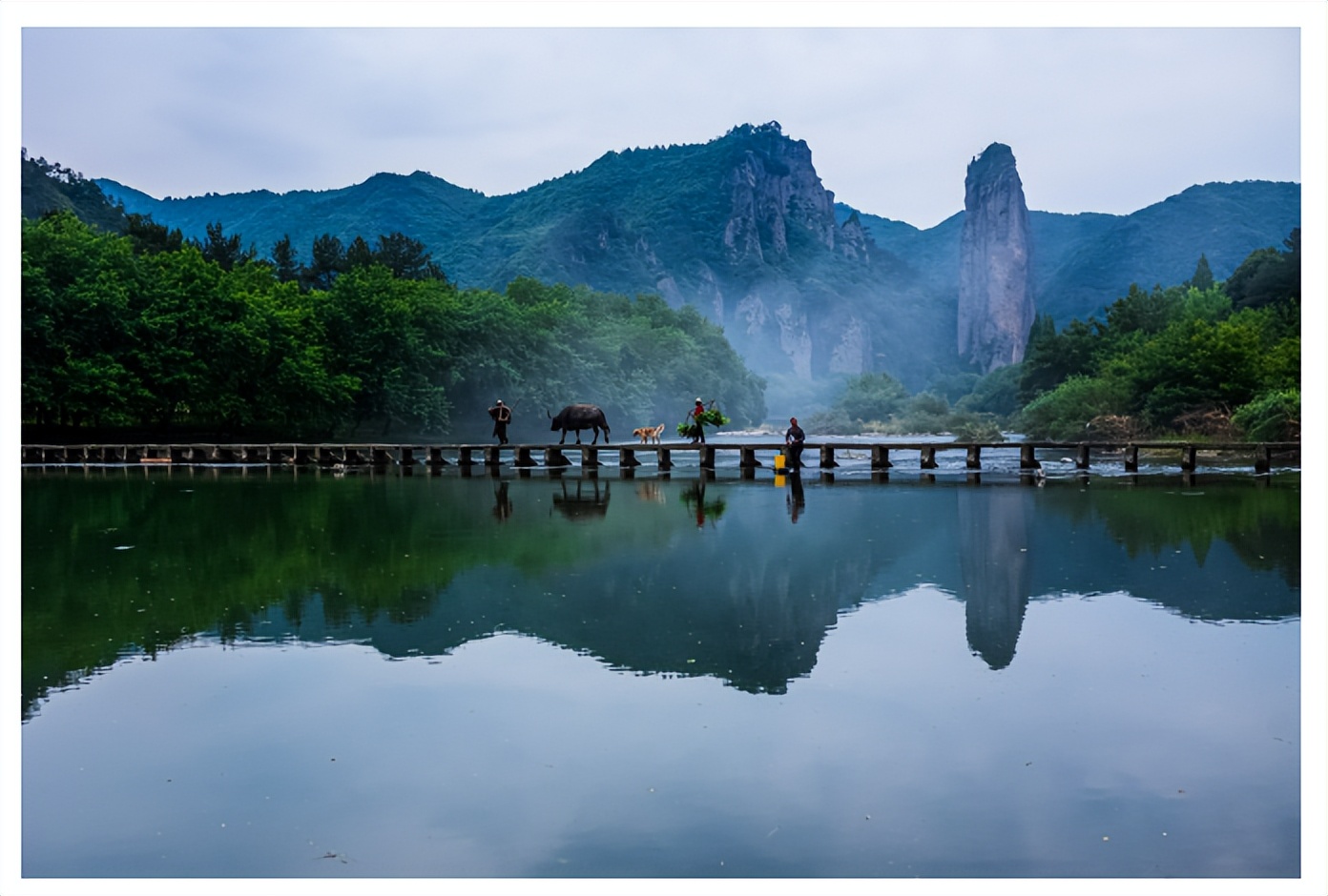 周崇光介绍,周崇光图文