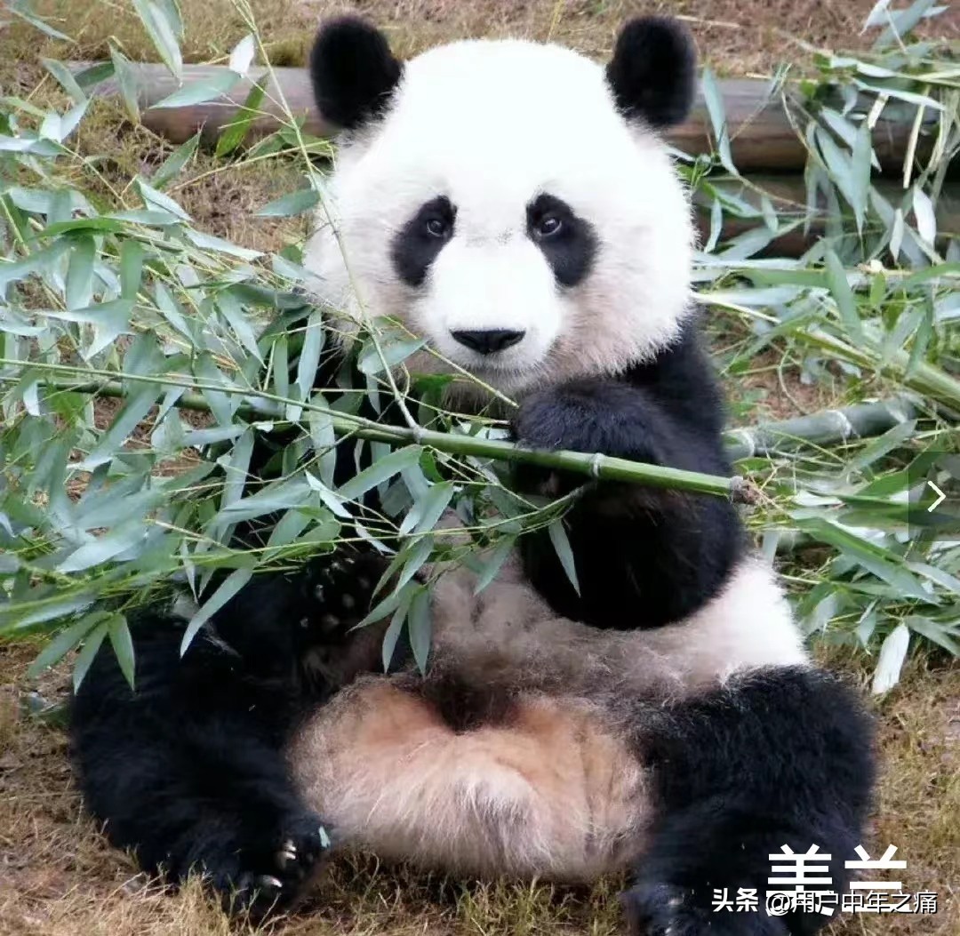 天之骄女是哪一年的,天之骄女重生归来小说