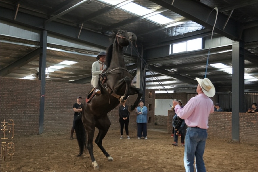 黄渤的封神,黄渤的封神之路