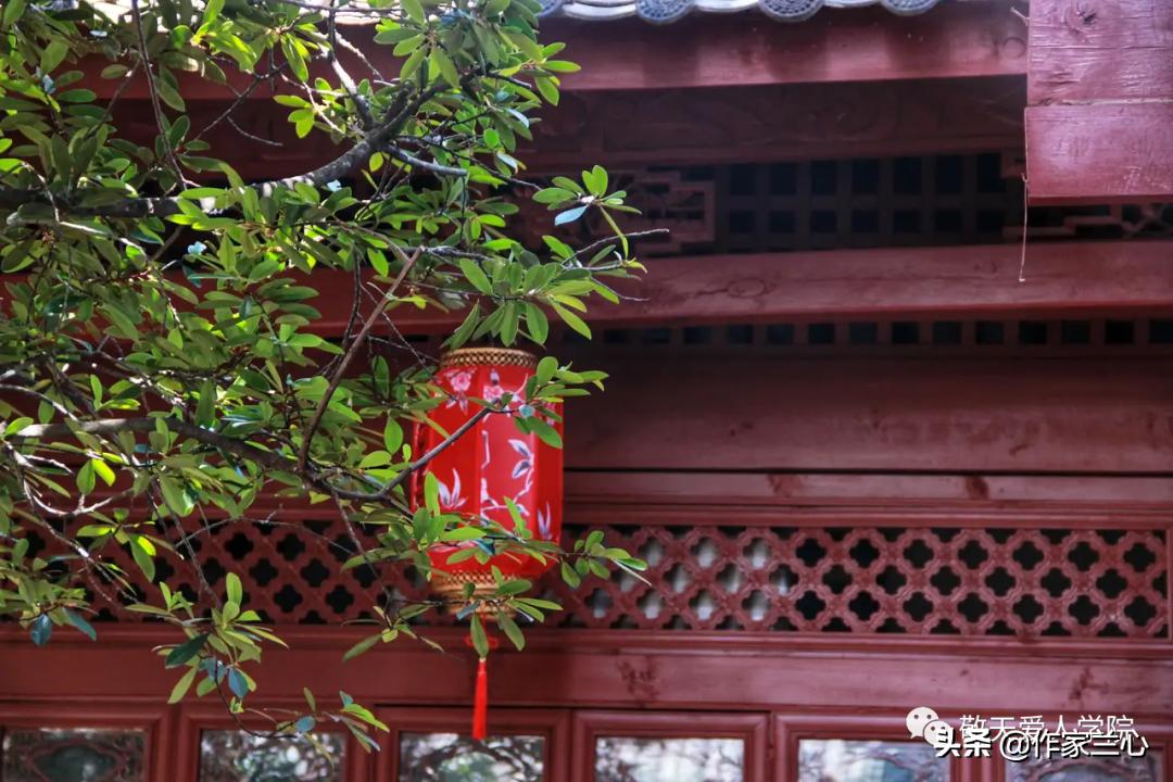 万一龙：以高维智慧，布世间大爱