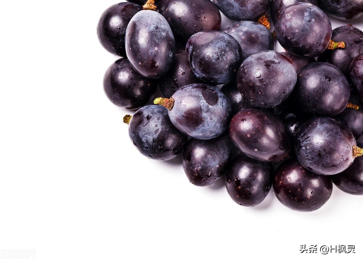 水果营养特点汇总,满满的干货知识水果的营养科普