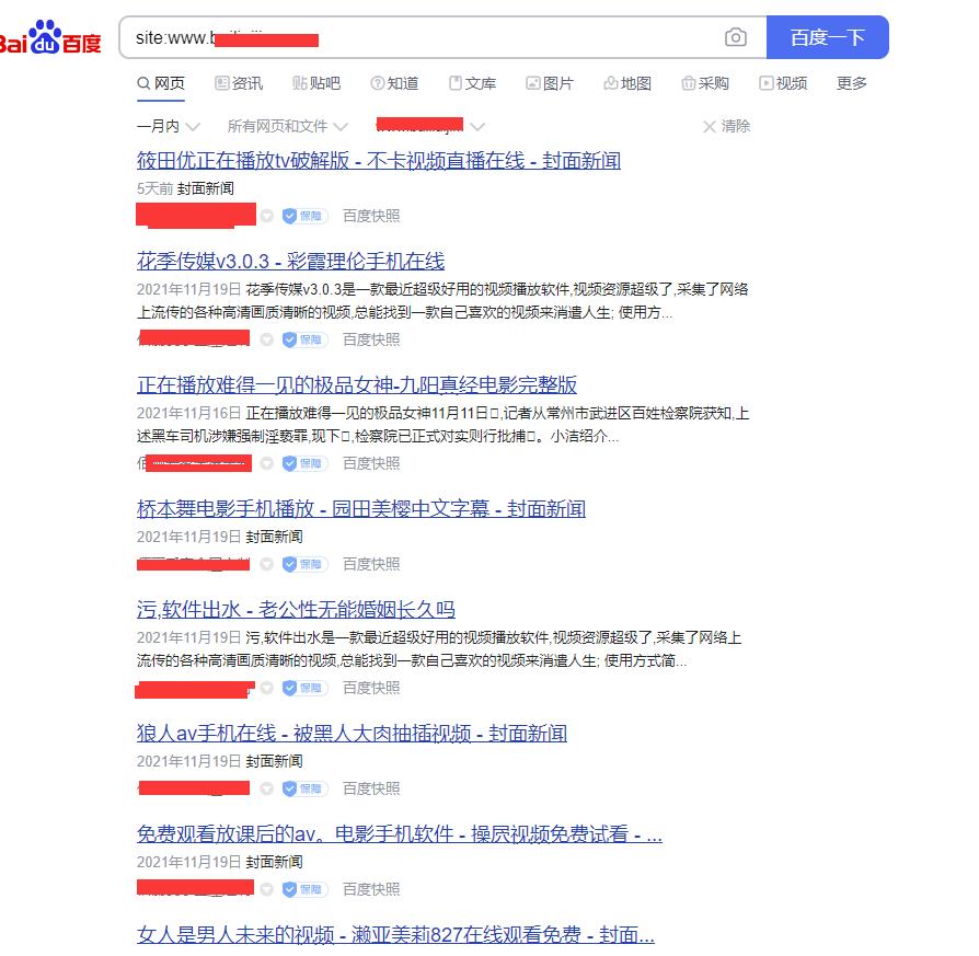 网站快照被劫持的表现,网站域名被劫持怎么操作