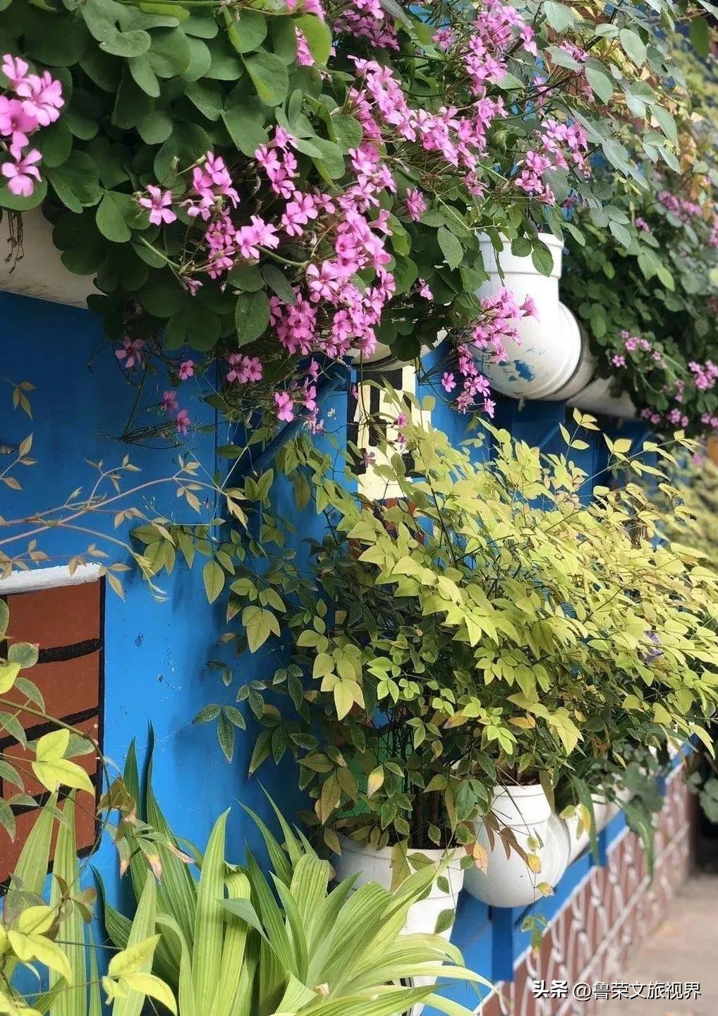 西安旅游攻略大全坐地铁,西安地铁旅游攻略三日游