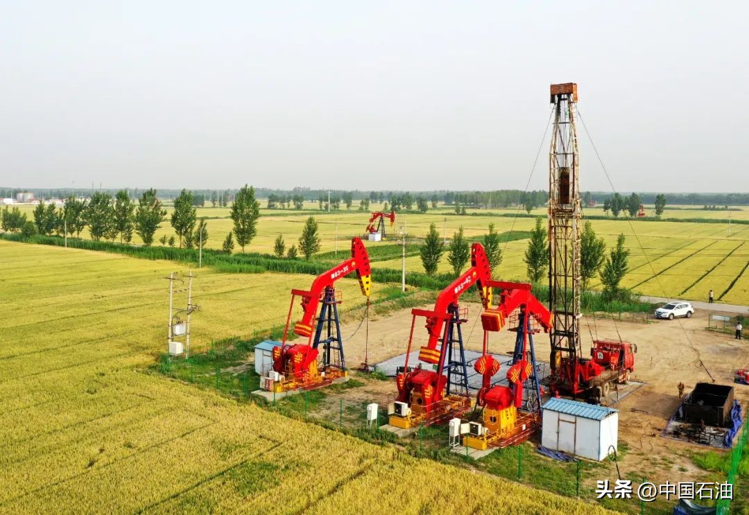 “节”尽所“能”！华北油田到底有多拼？