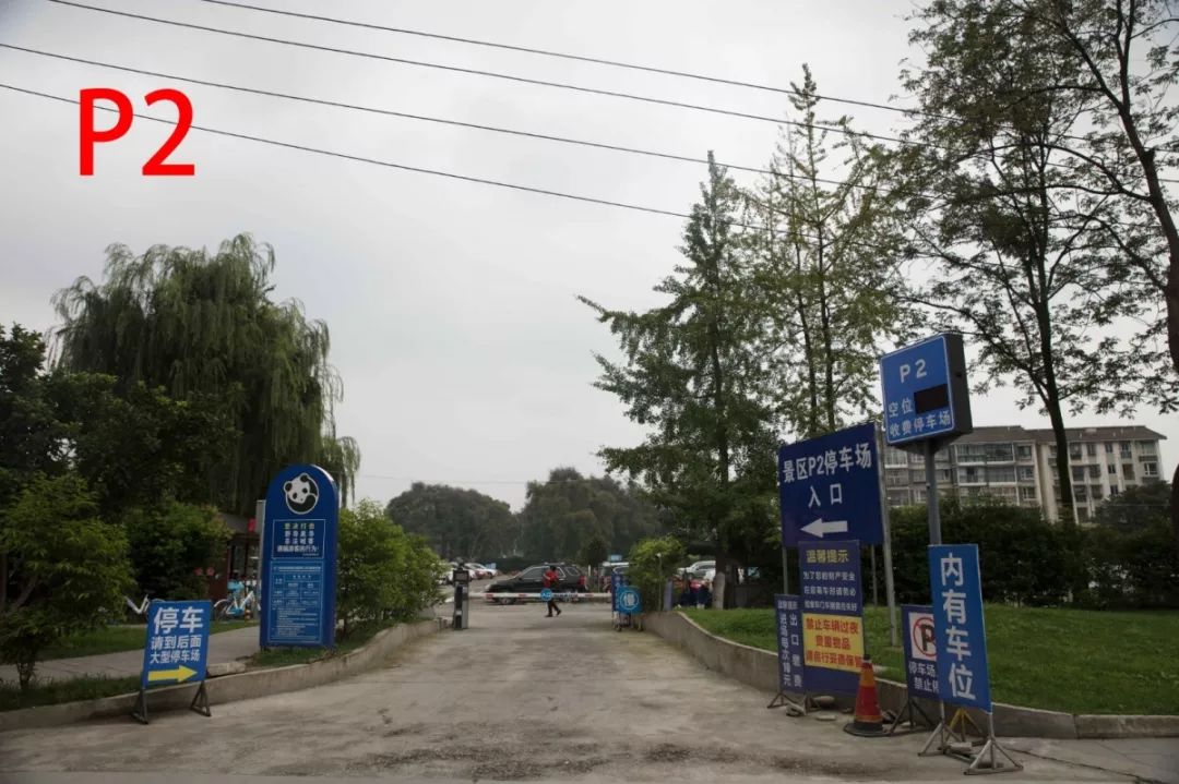 都江堰景区端午节,端午节都江堰三天两夜攻略