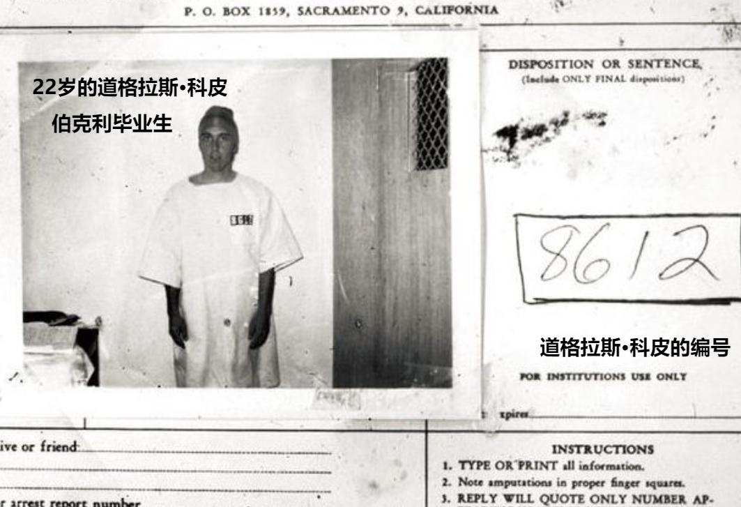 美国白鼠的繁衍,美国白鼠能繁衍多少只