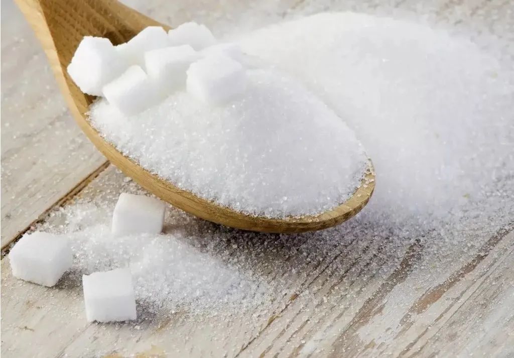 2023白糖现货价格行情今日报价表,12月白糖行情