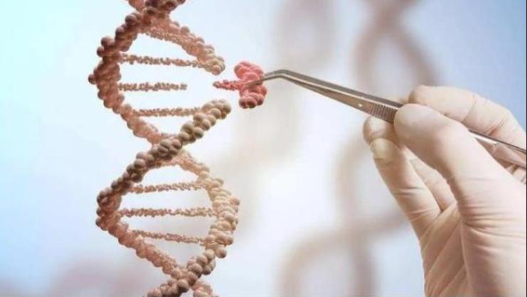 人类真的能杂交吗,人类动物能混血吗