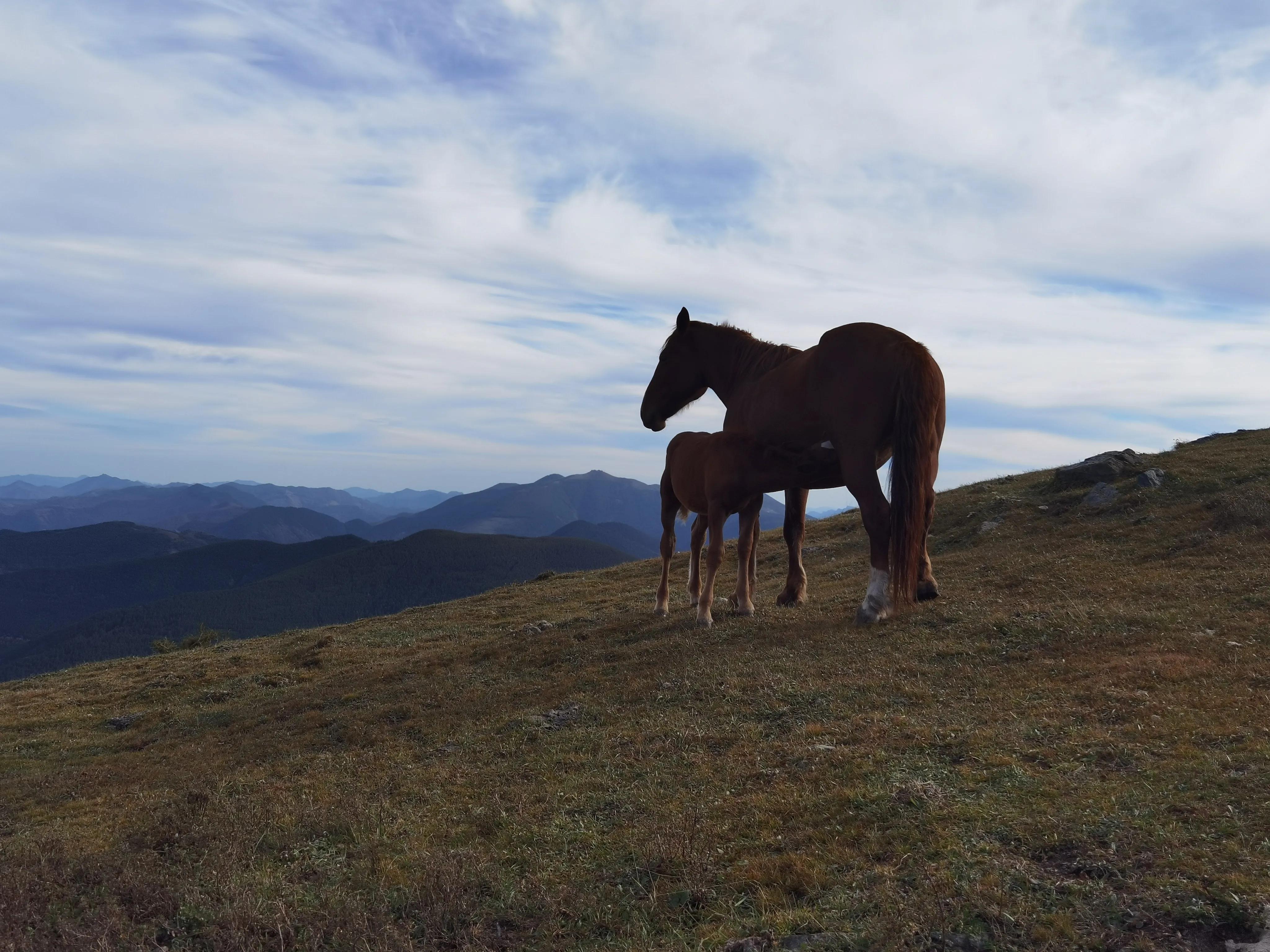 冬季五台山徒步大朝台完整攻略,五台山大朝台徒步一天可以走完吗