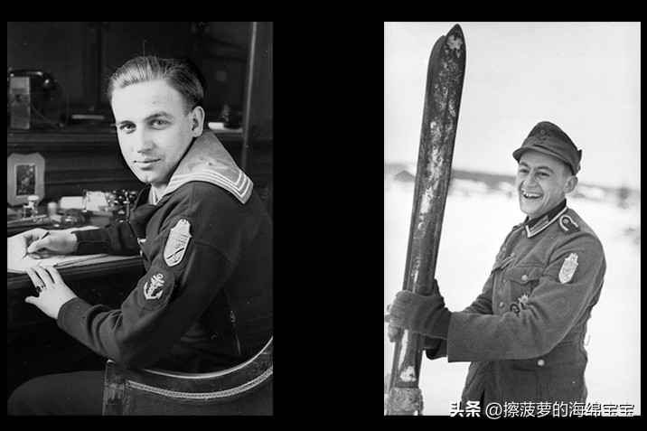 霍尔姆盾章二战德国,二战德国军奖章