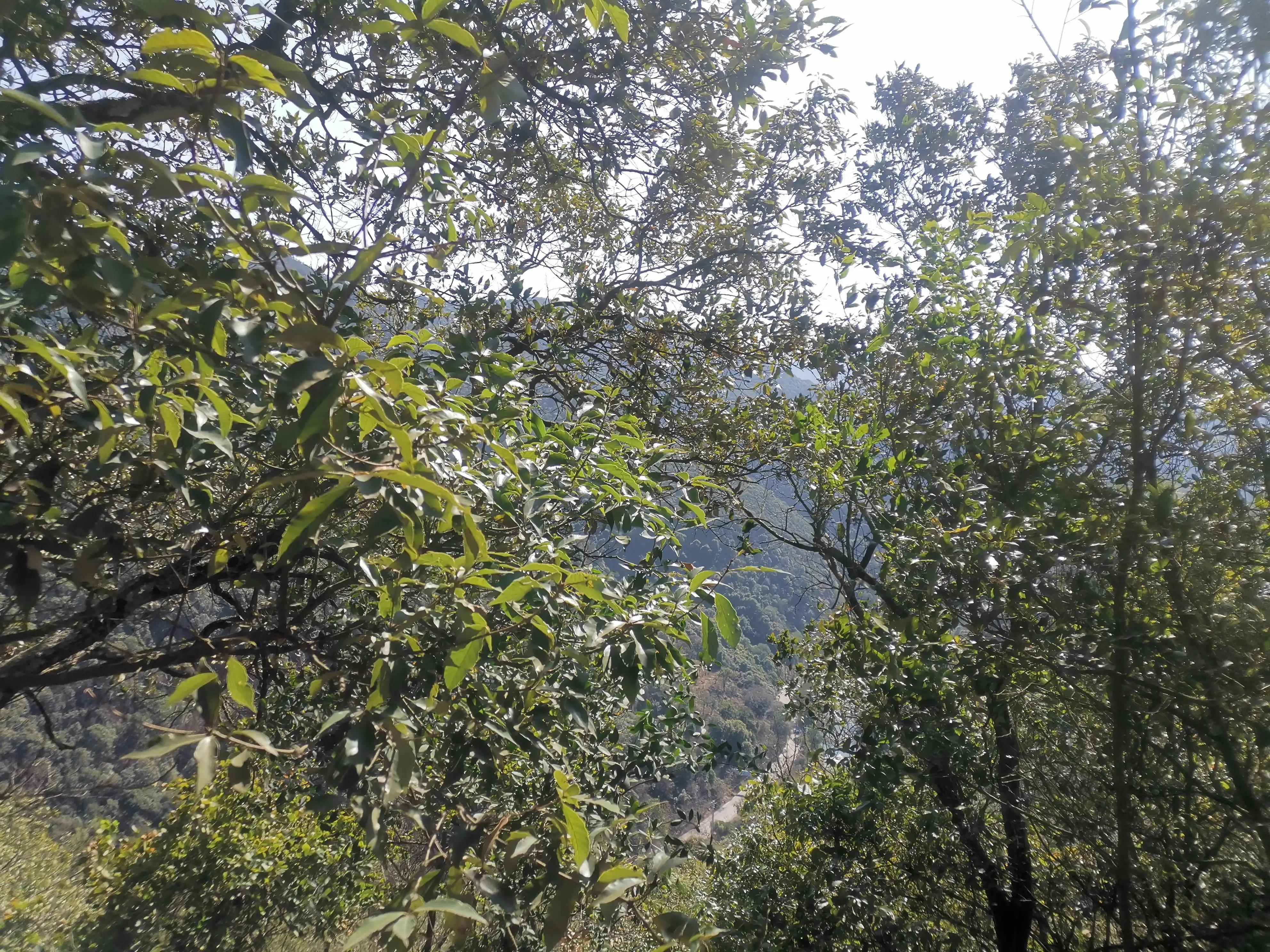 昆明周边青龙峡,昆明青龙峡温泉