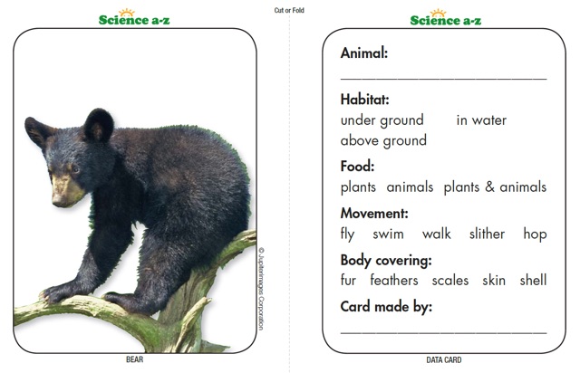 什么是大名鼎鼎的LearningA-Z?全球最详细的中文版图文视频介绍