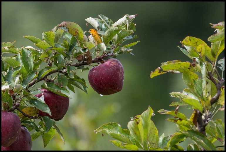 如何使用ai写论文,如何用ai写出自己想要的文章