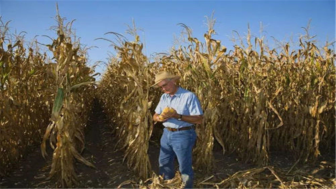 雪上加霜，美国债务尚且还没捋清楚，我国买家三周内取消多笔大单