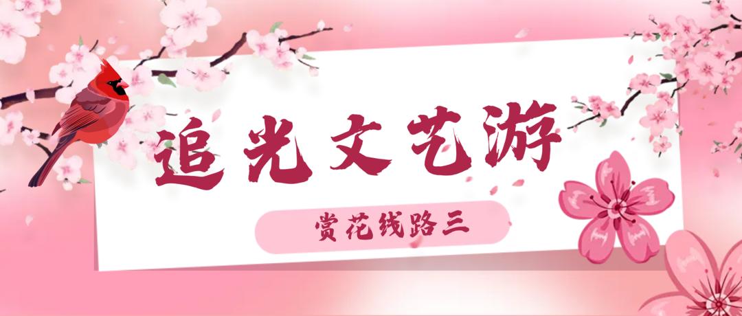 花海遇知音的下一句,花海遇知音汉阳喊你来赏花